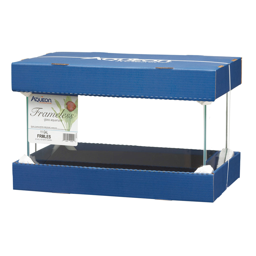 Frameless fish shops tank