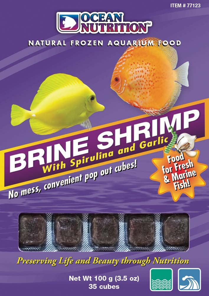 Frozen brine hotsell shrimp for betta