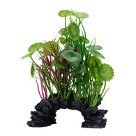 Fluval Green Lysimachia Plant Mix 6-8in