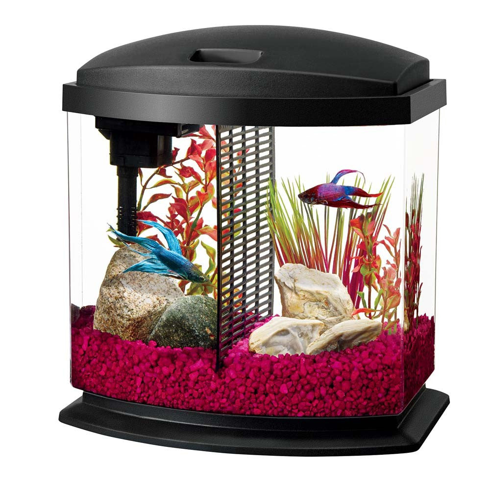 Aqueon Betta Bow 2.5 Aquarium Kit – Bay Bridge Aquarium