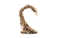 Crescent Shaped Bonsai Aquarium Driftwood 087S M087